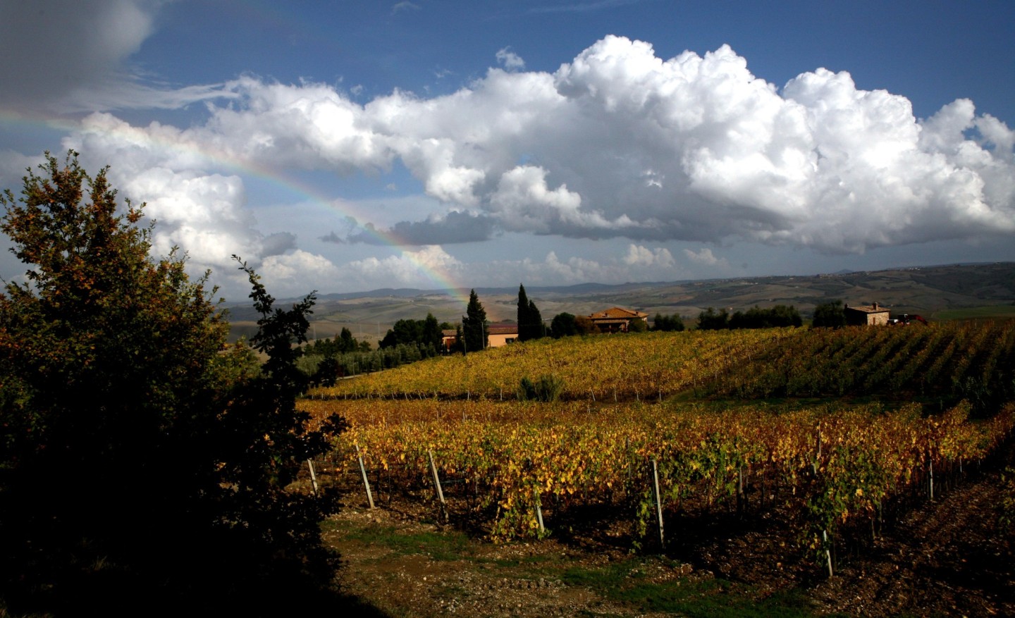 La Rasina Panoramic