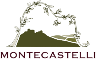 logo Villa Montecastello
