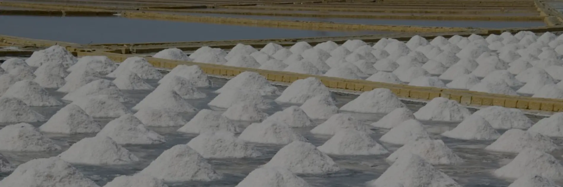 banner titolo categoria sale