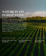 natura al suo stato puro, paesaggio