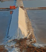 flos salis marisol img saline