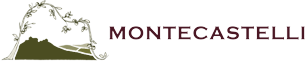 logo-Montecastello