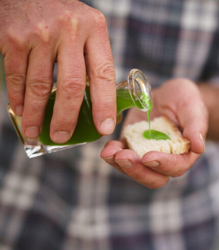 olio extra vergine di oliva di Azienda Agricola Montecastelli