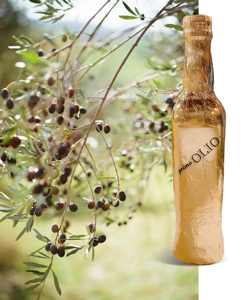 olio extra vergine di oliva Montecastelli